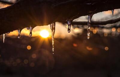 Lichtmess: nach einem langen, dunklen Winter, kehr das Licht wieder zurück.